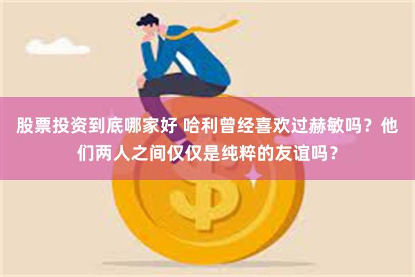 股票投资到底哪家好 哈利曾经喜欢过赫敏吗？他们两人之间仅仅是纯粹的友谊吗？