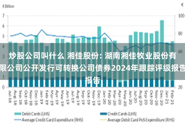 炒股公司叫什么 湘佳股份: 湖南湘佳牧业股份有限公司公开发行可转换公司债券2024年跟踪评级报告