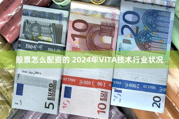 股票怎么配资的 2024年VITA技术行业状况