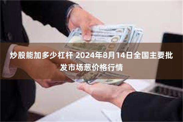 炒股能加多少杠杆 2024年8月14日全国主要批发市场葱价格行情