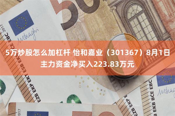 5万炒股怎么加杠杆 怡和嘉业（301367）8月1日主力资金净买入223.83万元