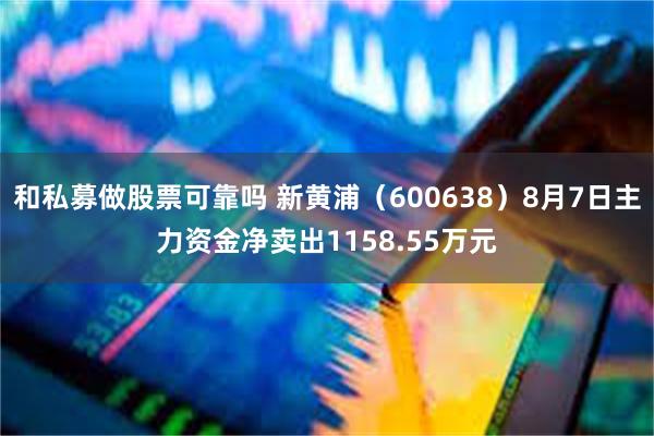 和私募做股票可靠吗 新黄浦（600638）8月7日主力资金净卖出1158.55万元