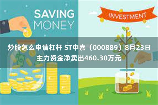 炒股怎么申请杠杆 ST中嘉（000889）8月23日主力资金净卖出460.30万元