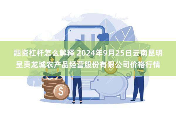 融资杠杆怎么解释 2024年9月25日云南昆明呈贡龙城农产品经营股份有限公司价格行情