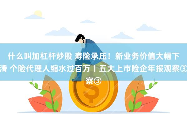 什么叫加杠杆炒股 寿险承压！新业务价值大幅下滑 个险代理人缩水过百万丨五大上市险企年报观察③