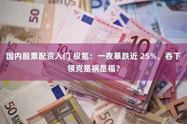 国内股票配资入门 极氪：一夜暴跌近 25%，吞下领克是祸是福？