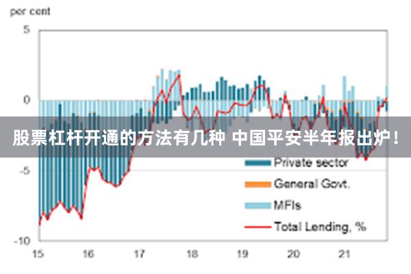 股票杠杆开通的方法有几种 中国平安半年报出炉！