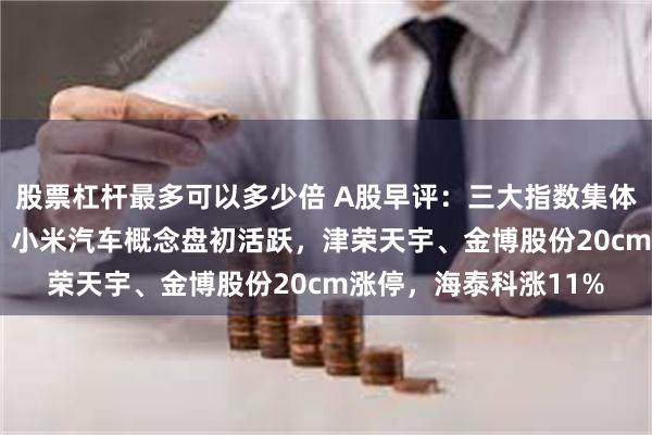 股票杠杆最多可以多少倍 A股早评：三大指数集体低开，沪指跌0.4%，小米汽车概念盘初活跃，津荣天宇、金博股份20cm涨停，海泰科涨11%