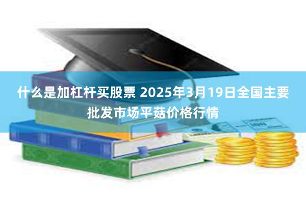 什么是加杠杆买股票 2025年3月19日全国主要批发市场平菇价格行情